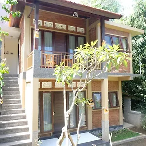 Guest house Ary House
